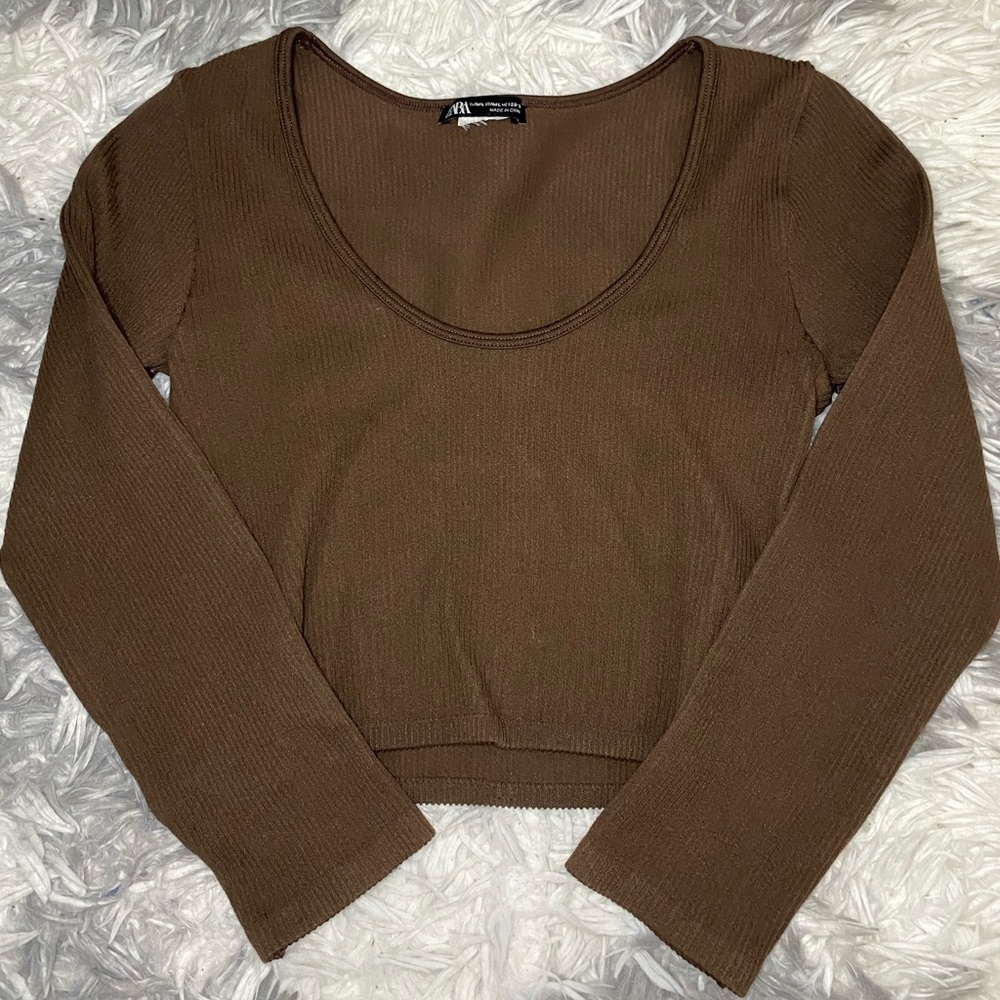 Zara Brown Crop Long Sleeve